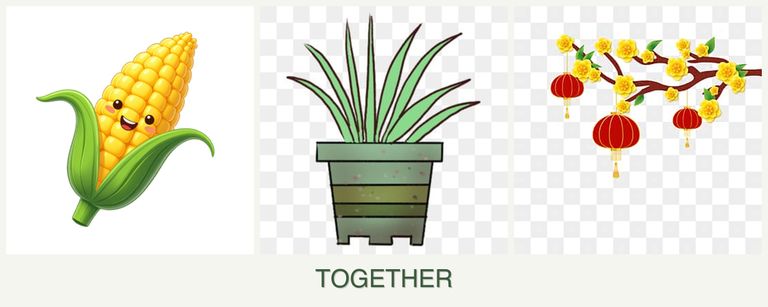 Can you plant corn, lemongrass and apricots together?