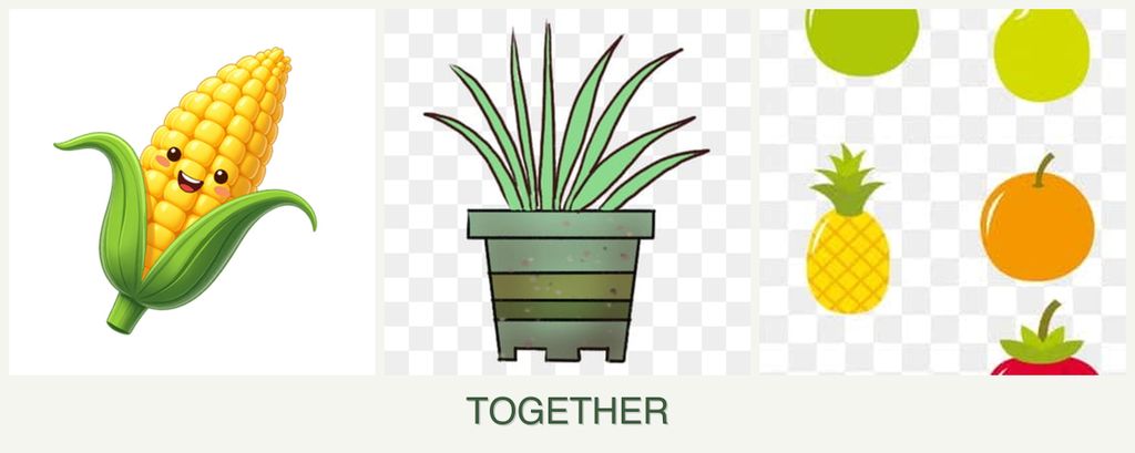 Can you plant corn, lemongrass and pears together?
