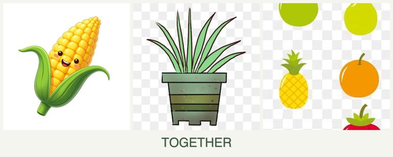 Can you plant corn, lemongrass and pears together?