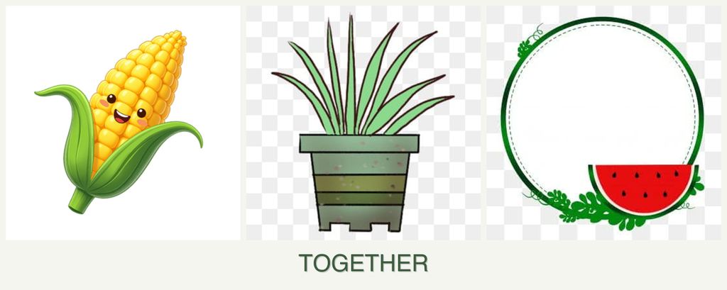 Can you plant corn, lemongrass and watermelons together?