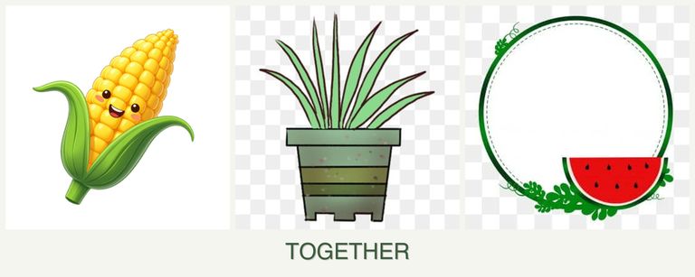Can you plant corn, lemongrass and watermelons together?