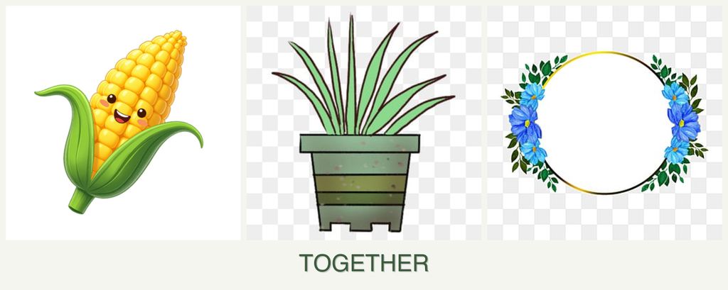 Can you plant corn, lemongrass and zinnias together?