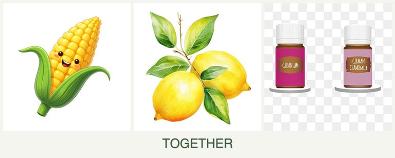 Can you plant corn, lemons and geraniums together?