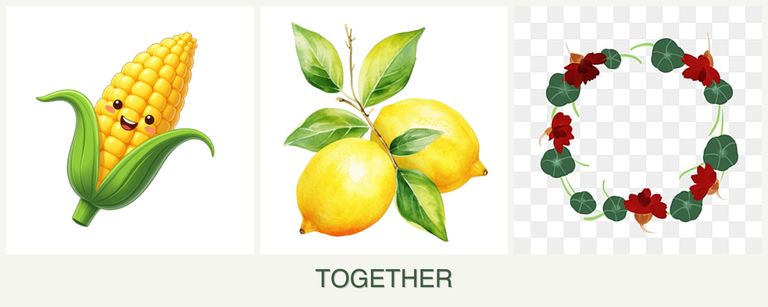 Can you plant corn, lemons and nasturtiums together?