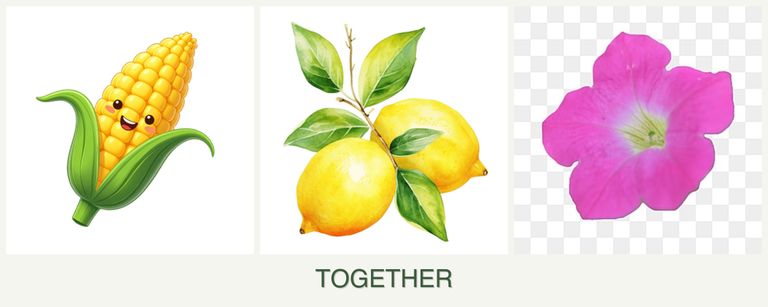 Can you plant corn, lemons and petunias together?