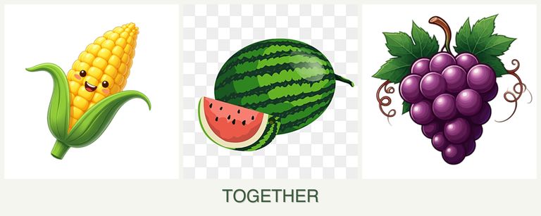 Can you plant corn, melons and grapes together?
