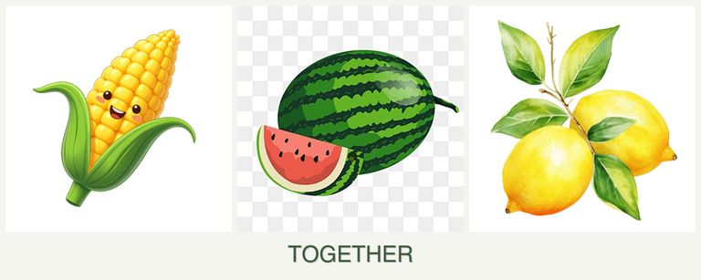 Can you plant corn, melons and lemons together?