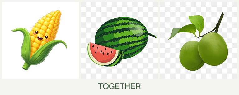 Can you plant corn, melons and plums together?