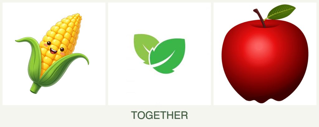 Can you plant corn, mint and apples together?