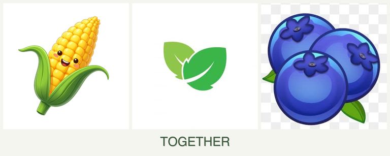 Can you plant corn, mint and blueberries together?