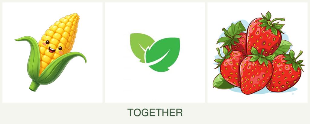 Can you plant corn, mint and strawberries together?