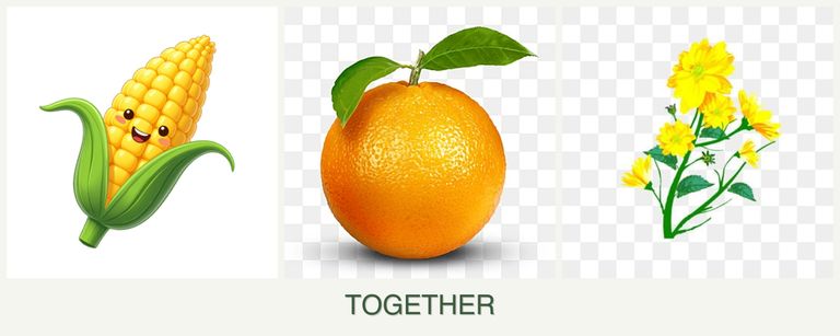Can you plant corn, oranges and calendula together?