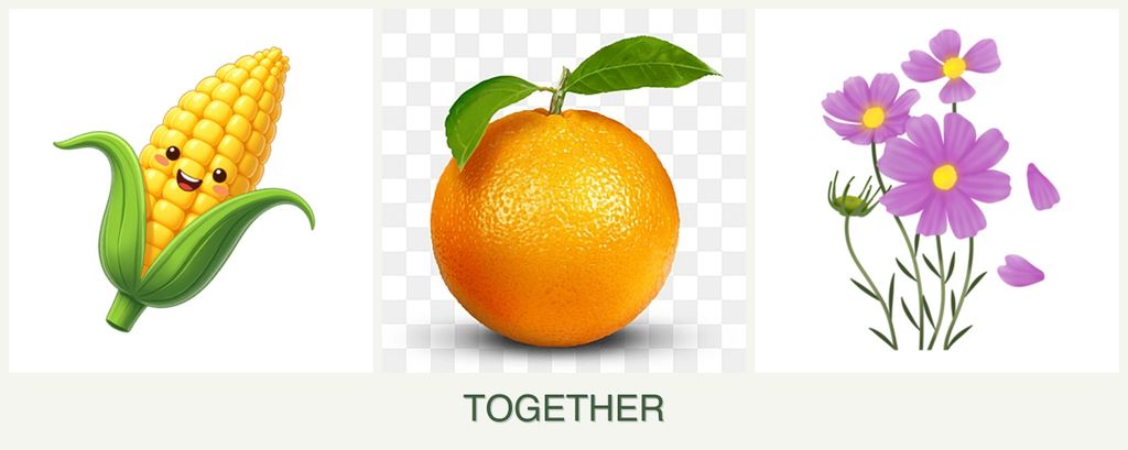 Can you plant corn, oranges and cosmos together?