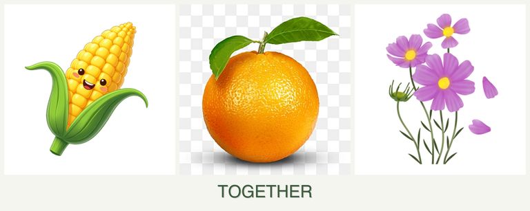 Can you plant corn, oranges and cosmos together?