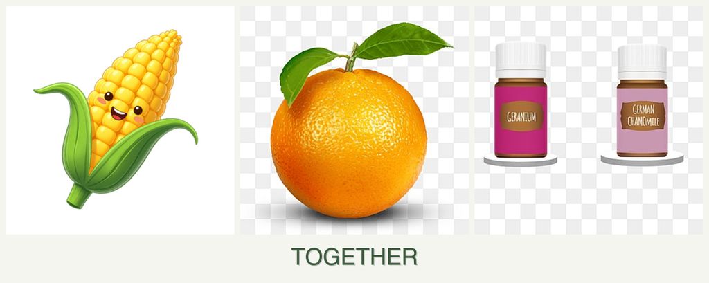 Can you plant corn, oranges and geraniums together?