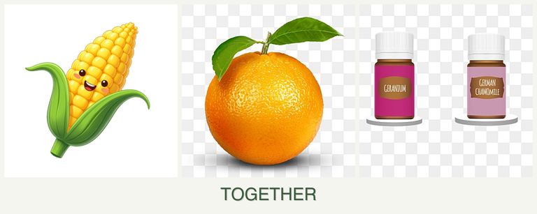 Can you plant corn, oranges and geraniums together?
