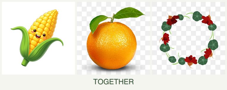 Can you plant corn, oranges and nasturtiums together?