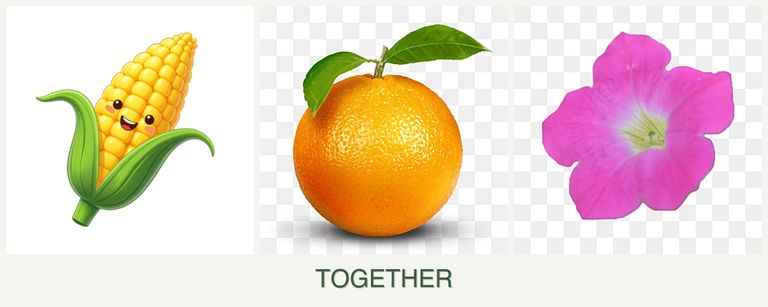 Can you plant corn, oranges and petunias together?