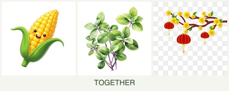 Can you plant corn, oregano and apricots together?
