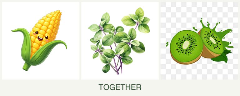 Can you plant corn, oregano and kiwi together?