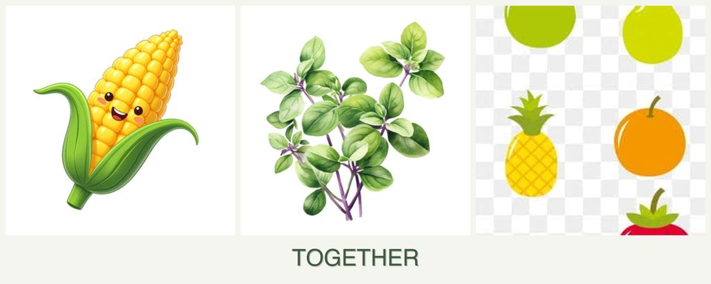 Can you plant corn, oregano and pears together?