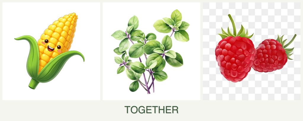 Can you plant corn, oregano and raspberries together?