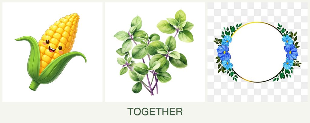 Can you plant corn, oregano and zinnias together?