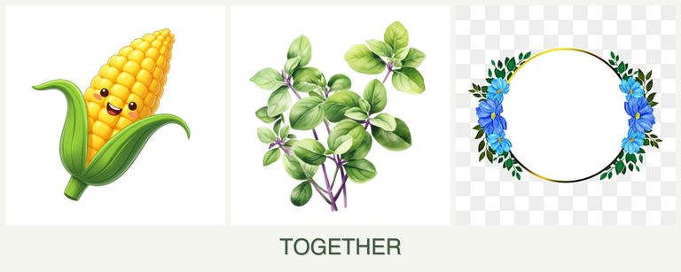 Can you plant corn, oregano and zinnias together?