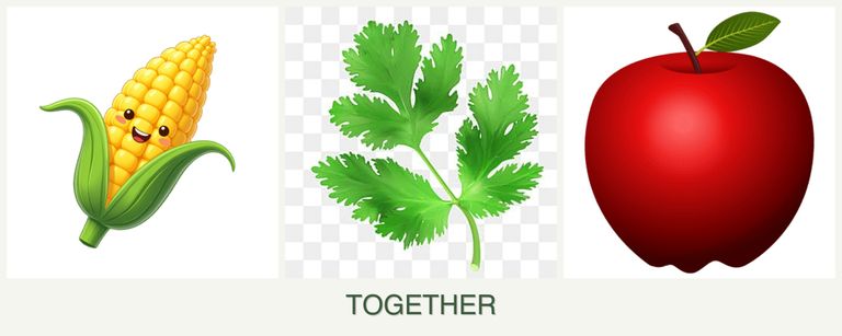Can you plant corn, parsley and apples together?