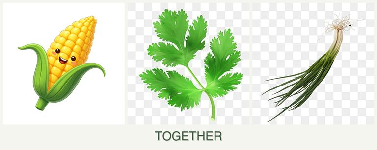 Can you plant corn, parsley and chives together?