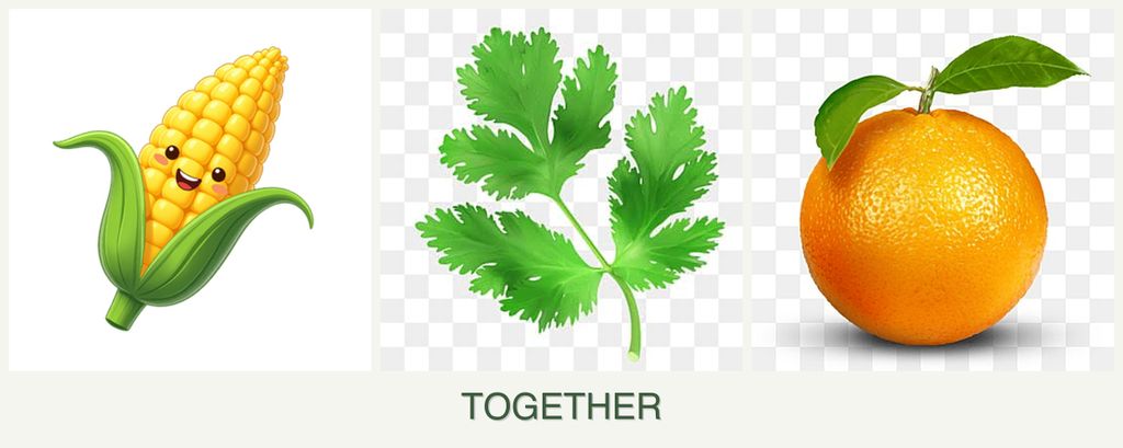 Can you plant corn, parsley and oranges together?