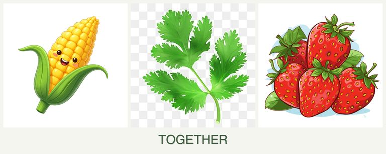 Can you plant corn, parsley and strawberries together?