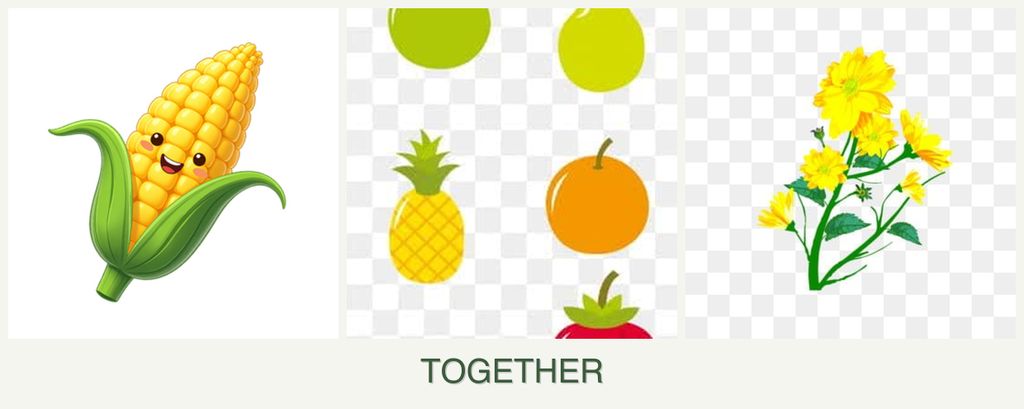 Can you plant corn, pears and calendula together?