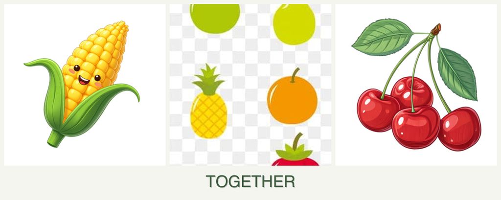 Can you plant corn, pears and cherries together?