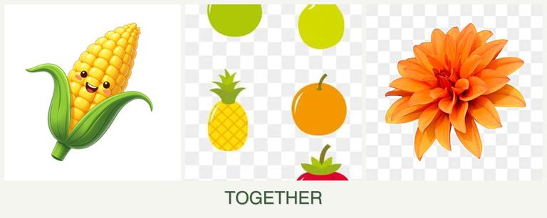 Can you plant corn, pears and dahlias together?