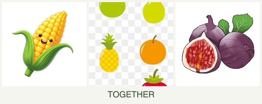 Can you plant corn, pears and figs together?
