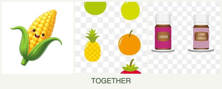 Can you plant corn, pears and geraniums together?