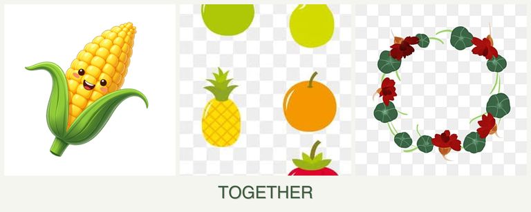Can you plant corn, pears and nasturtiums together?