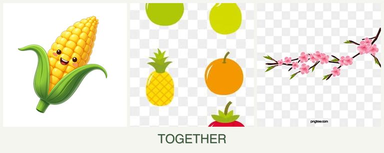 Can you plant corn, pears and peaches together?