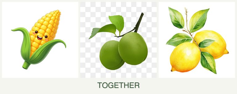 Can you plant corn, plums and lemons together?
