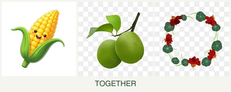 Can you plant corn, plums and nasturtiums together?