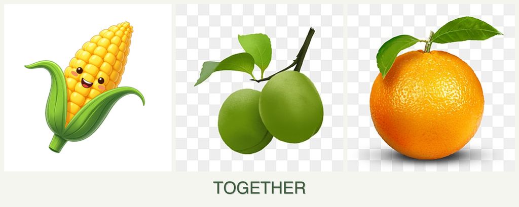 Can you plant corn, plums and oranges together?