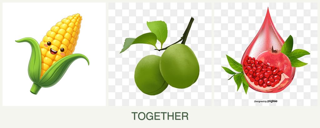 Can you plant corn, plums and pomegranates together?