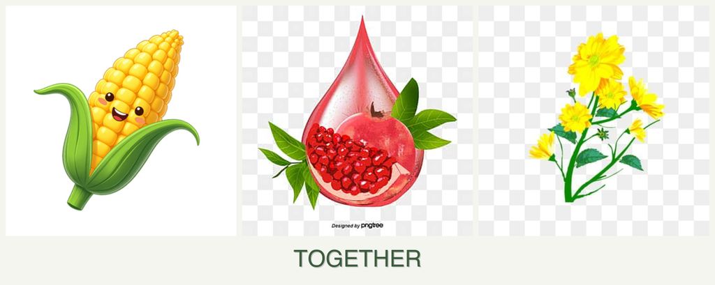 Can you plant corn, pomegranates and calendula together?