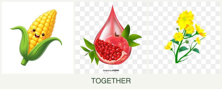 Can you plant corn, pomegranates and calendula together?