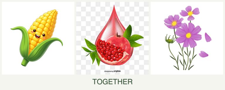 Can you plant corn, pomegranates and cosmos together?