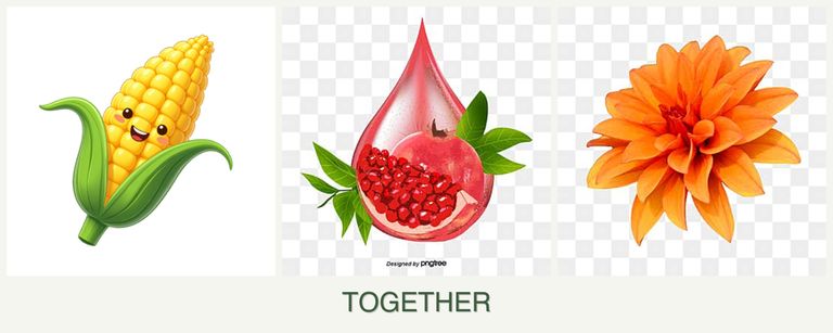 Can you plant corn, pomegranates and dahlias together?