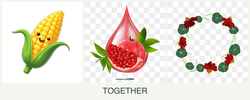 Can you plant corn, pomegranates and nasturtiums together?