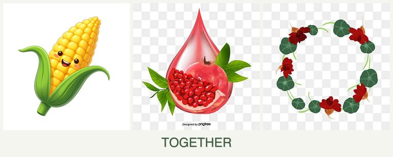 Can you plant corn, pomegranates and nasturtiums together?