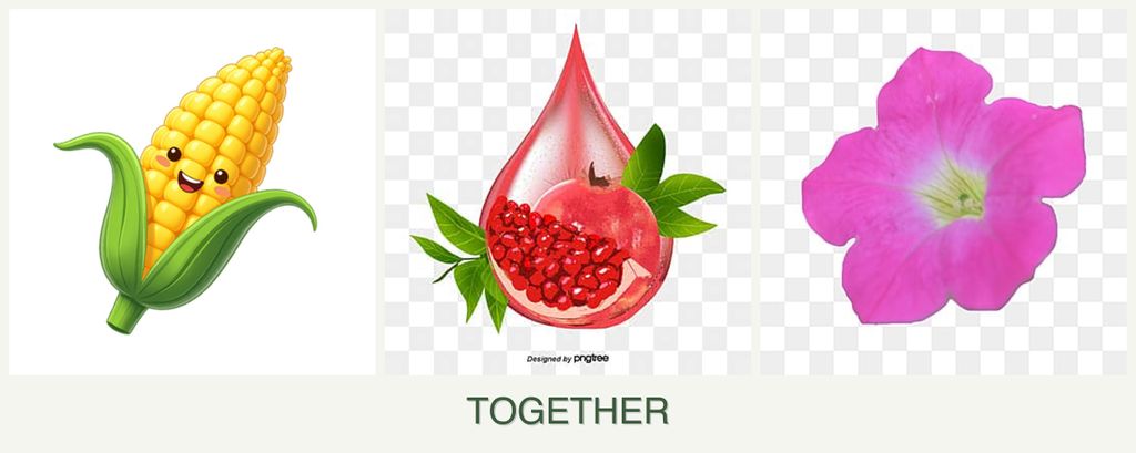 Can you plant corn, pomegranates and petunias together?